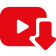 Start Downloading the Video